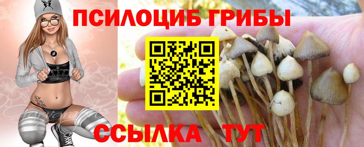 Камышин  Псилоцибиновые грибы Psilocybe  Галлюциногенные грибы ЛСД  Вход с VPN 